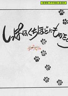 流花猫猫