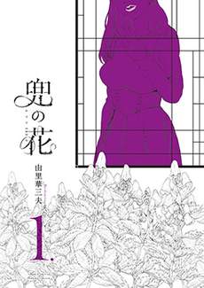 兜之花