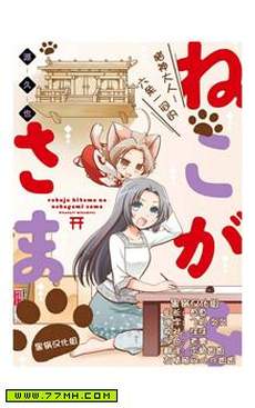六条一间的猫神大人